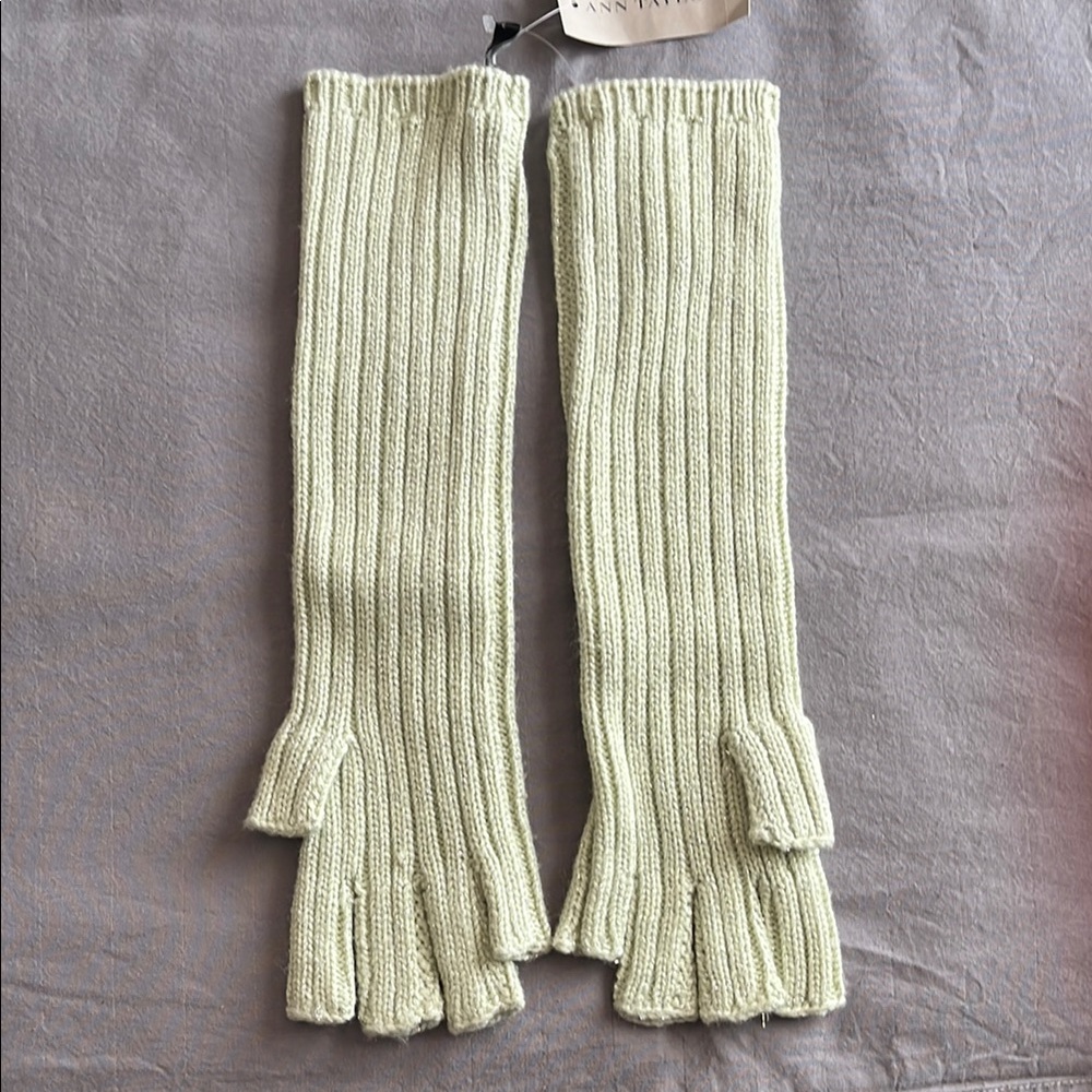 Ann Taylor Ribbed Fingerless Mittens in Light Green